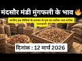 आज मूंगफली का भाव मंदसौर मंडी | Mungfali Rate Today Mandsaur Mandi 12 March 2026 | Today Mandi Bhav