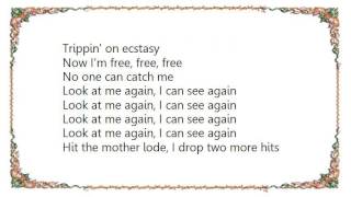 Warrior Soul - Trippin&#39; on Ecstasy Lyrics