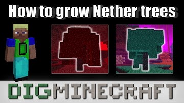 How to grow Nether trees in Minecraft (Nether Update)