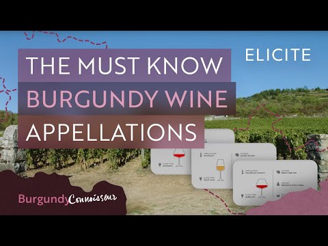 The Complete Guide To Key Burgundy Appellations