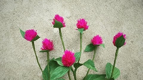 ABC TV | How To Make Globe Amaranth Paper Flowers From Crepe Paper - Craft Tutorial