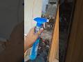 glass cleaner se tiles Ko Kiya saaf