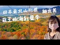 一個人自由行｜日本疫情下東北【山形縣】藏王樹海空中纜車360度紅葉環繞🍁  絕世美❤️