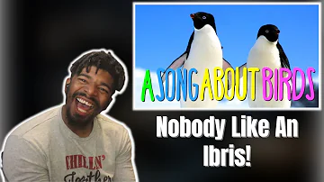 AMERICAN REACTS TO "A SONG ABOUT BIRDS"