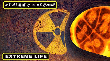 விசித்திர உயிர்கள் | 50 