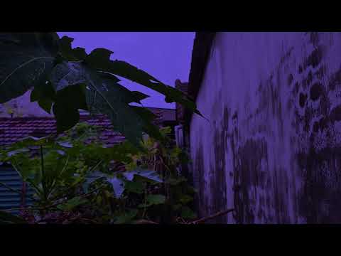 Gentle Garden Rain at Night 🌙 Calm Nature Sounds for Better Sleep