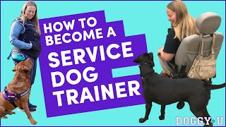 How To Become A SERVICE DOG TRAINER: My Process and Tips