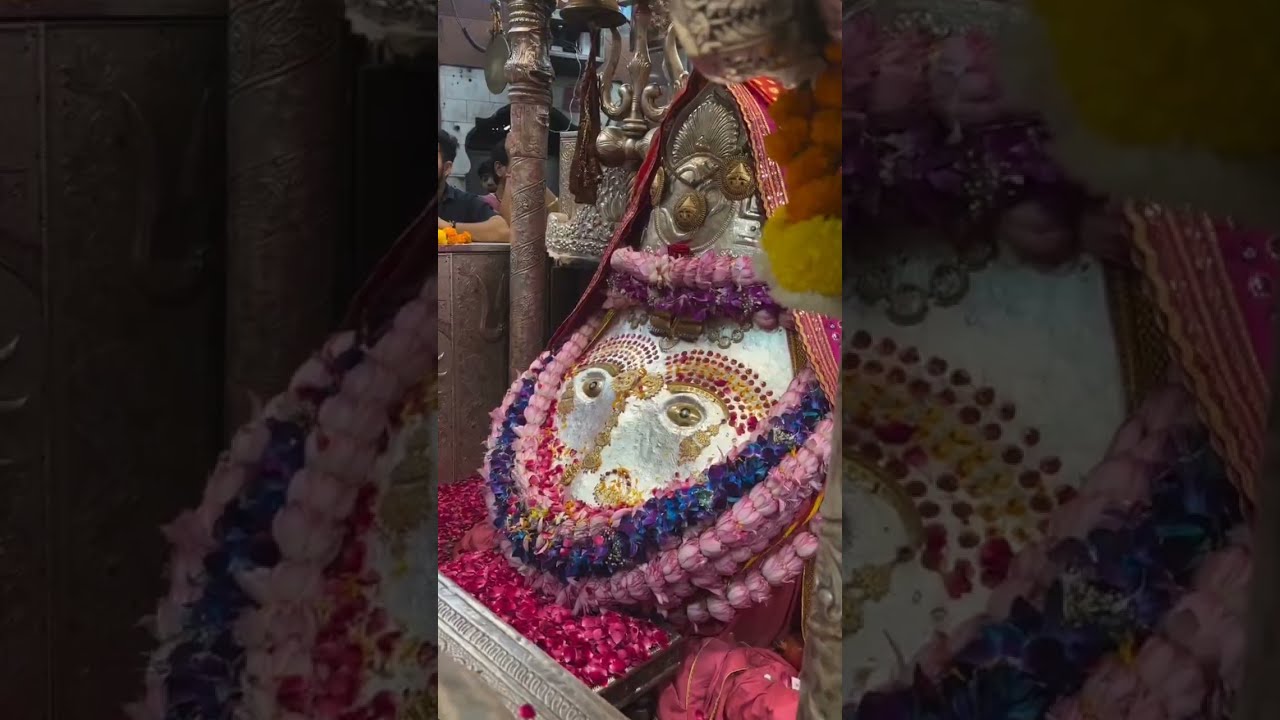 Sari murade puri karegi Delhi wali mayi// new deru bhajan//naye saal ka bhajan // happy new year🙏🏻🕉️