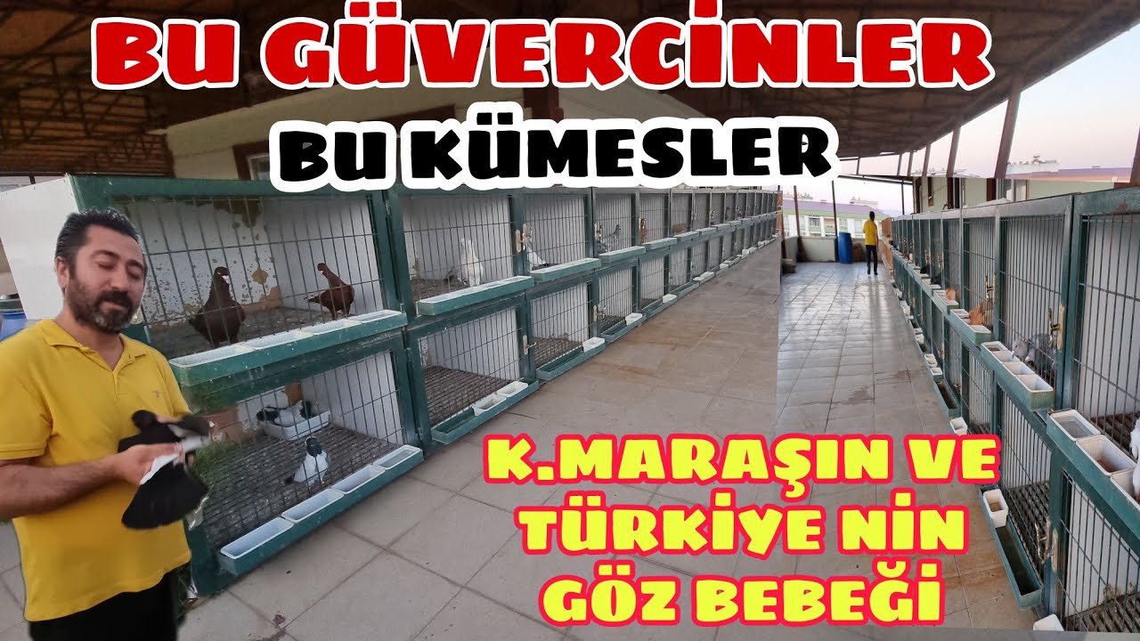 MARAŞIN EN KLAS KÜMESLERİNDEN BİRİNDEYİZ  HASAN SELCİ  4 4 LÜK İSİMLİ KUŞLAR  BÖLÜM  1