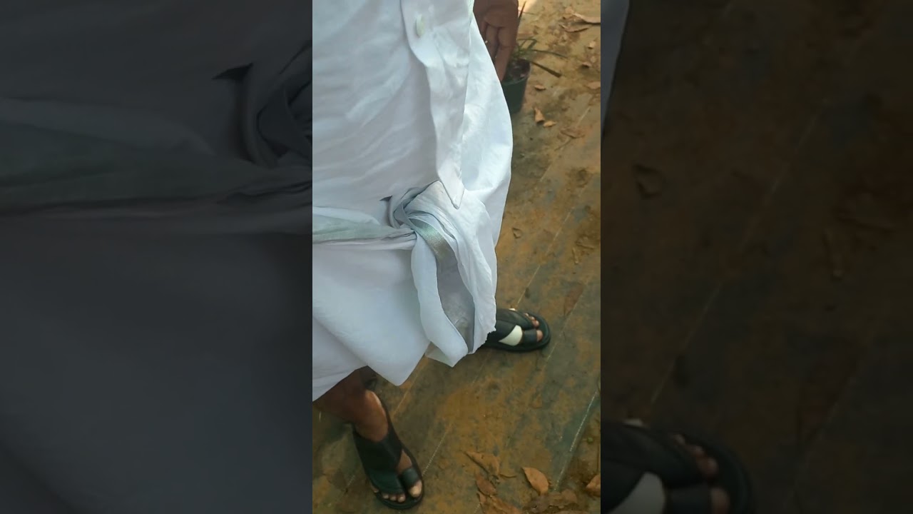 ചെടികൾ വാങ്ങിയാലോ