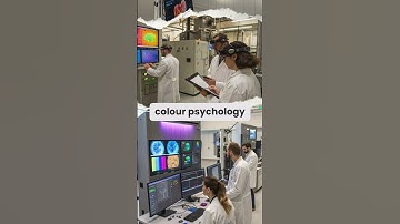 The Secret Language of Colors: How Brands Manipulate Your Emotions