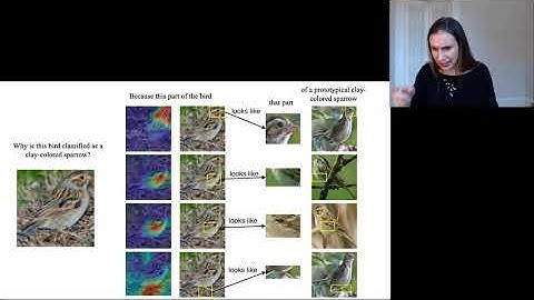 JSM Tutorial 2020 - Interpretable Neural Networks