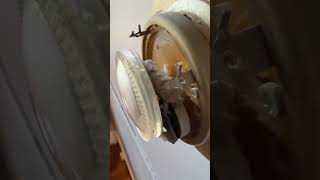 Honeywell Round Thermostats Never Break