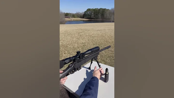 How Quiet Is 22 LR Suppressed?