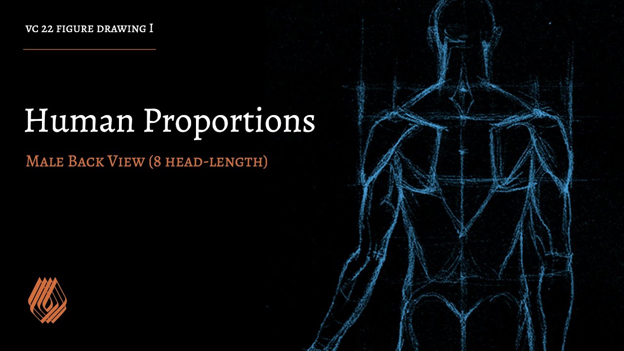 Human Proportions - Male Back View - 8 Head-Length - YouTube