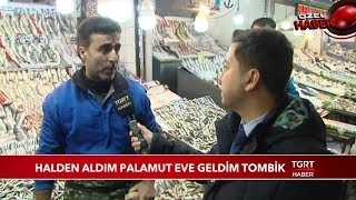 Uskumru ve Tombik Balığı "Palamut" Etiketiyle Satışta