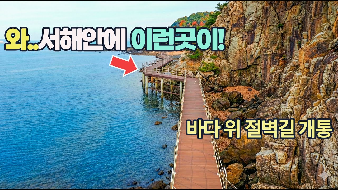 🛑서해안에 이런 절벽길이? 새롭게 개통 /보령 가볼만한곳 BEST 4 : 겨울 별미 굴구이부터 숨겨진 비밀의 숲까지/주차장 5분 편백나무숲