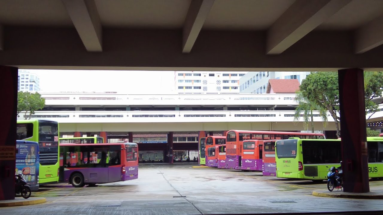 Some Buses at Bishan Bus Interchange (Singapore) YouTube