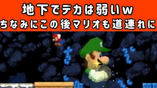 Mario vs Luigi part1087