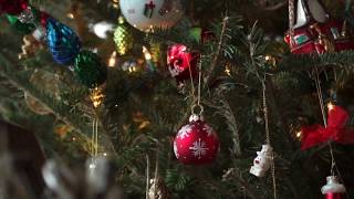 Christmas Day at the Winter Household 2017