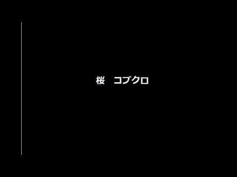 桜 コブクロ