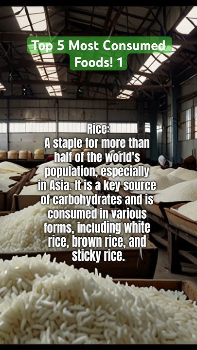 Top 5 Most Consumed Foods 1 rice world food FunableFacts et5kv top-5-most-consumed-foods-1-rice-world-food-funablefacts-et5kv