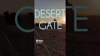 Addictive Quietness - Timeless Morocco -Hamid Zahir-America-Daft Punk-Fela Kuti- Remix Resimi
