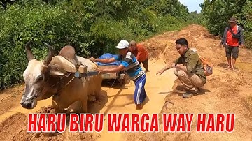[FULL] HARU BIRU WARGA WAY HARU | INDONESIAKU (14/02/22)