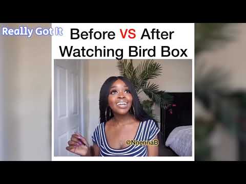 best-birdbox-memes!