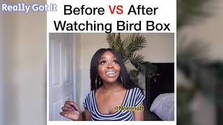 BEST BirdBox Memes!