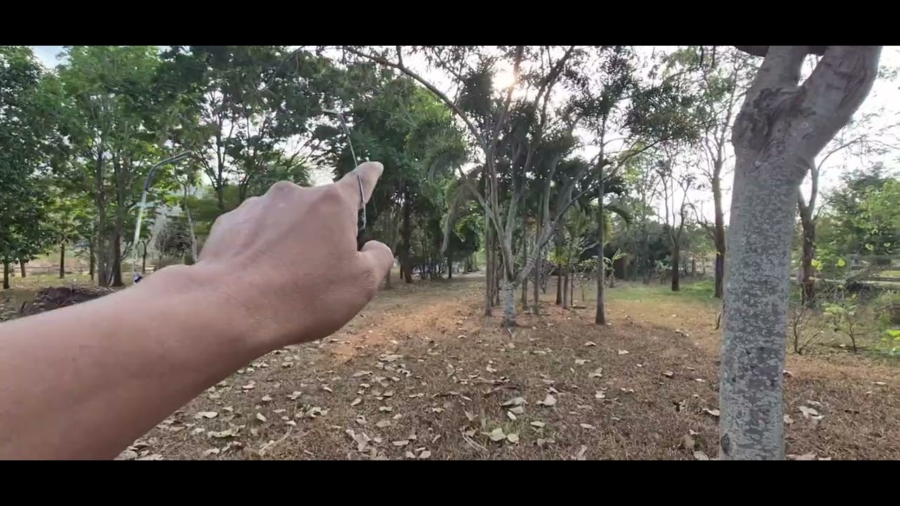 โฉนด พร้อมโอน แบ่งขาย #ที่ดินเขาใหญ่ ต้นไม้อายุ 10 ปีเต็มพื้นที่ ร่มรื่น น่าอยู่ 4.5 กม. จาก ธนรัตน์