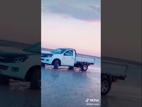 عود البطل ملفوف حسن شاكوش