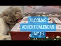 [Vlogmas Advent Calendar Day 16] 4 month old kitten cat sitting and inspecting toy