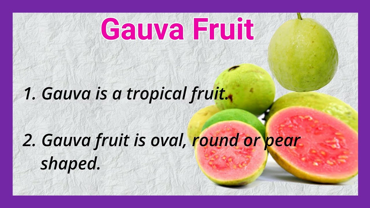 essay on guava tree in english