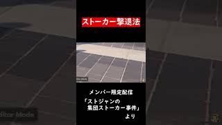 ストーカーにはストーカーを【GTA5】