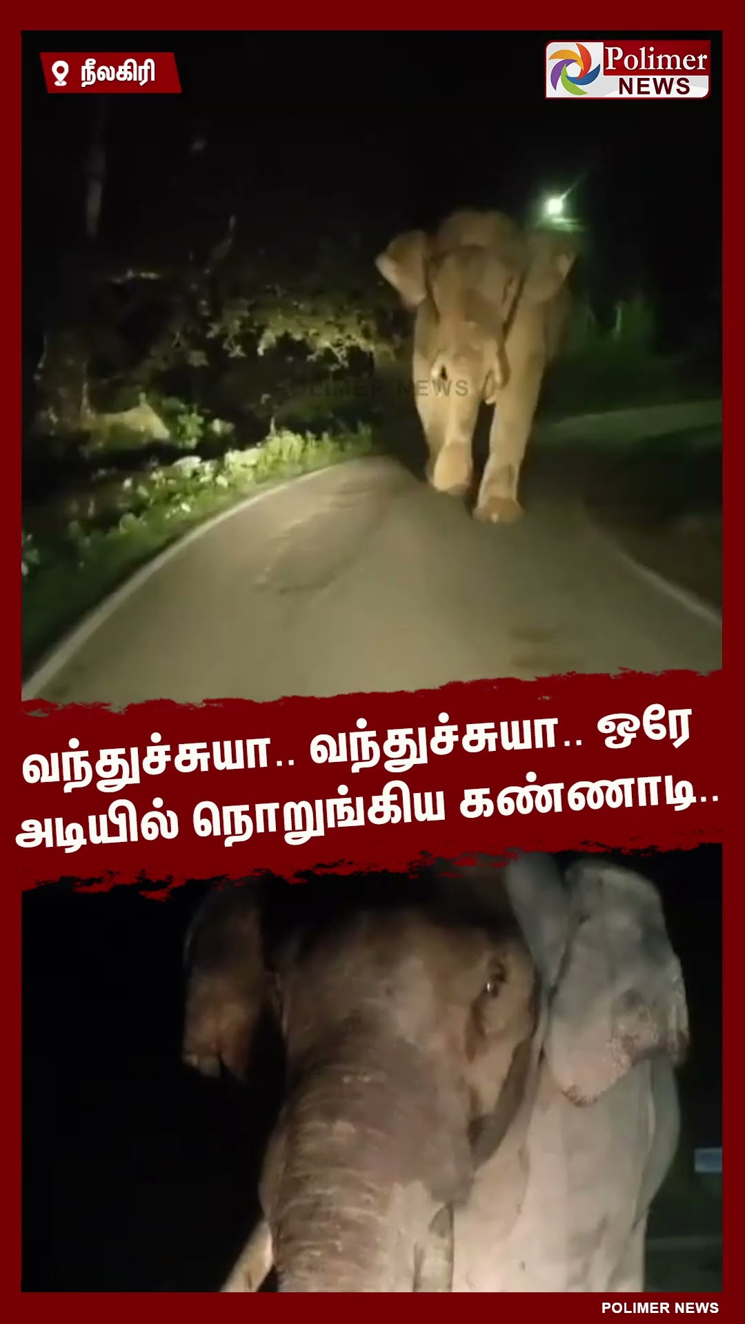 வந்துச்சுயா..வந்துச்சுயா.. ஒரே அடியில் நொறுங்கிய கண்ணாடி..  #shorts