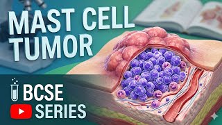 Mast Cell Tumors (MCT) | BCSE Exam High-Yield Series