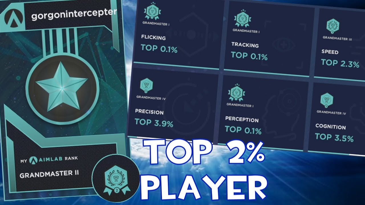 This Is What A Top 2 AIMLABS Player Looks Like YouTube this-is-what-a-top-2-aimlabs-player-looks-like-youtube