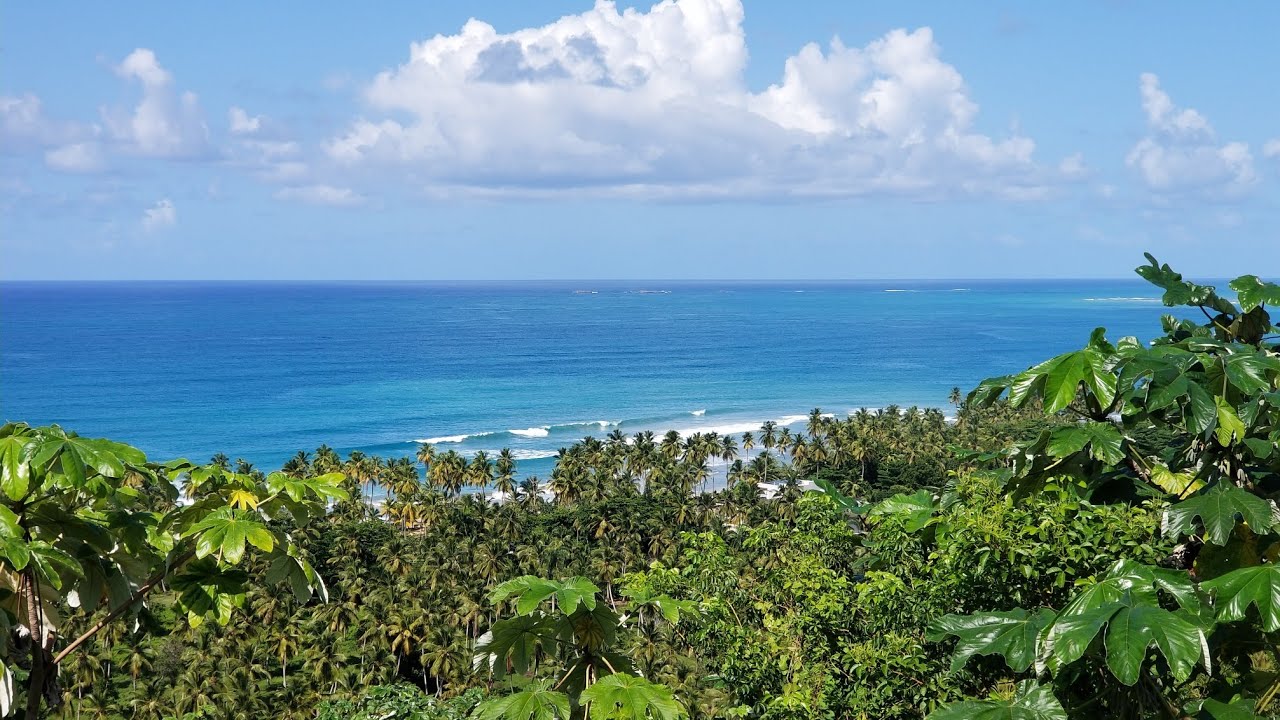 🇩🇴 EdKane Live From Beautiful Las Terrenas, Dominican Republic | Sosua | Puerto Plata 🇩🇴