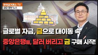 글로벌 자금, 금으로 대이동 속  중앙은행들, 달러 버리고 금 구매