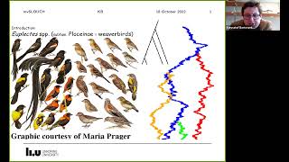 M4CSA K. Bartoszek: Multivariate phylogenetic comparative methods for large trees
