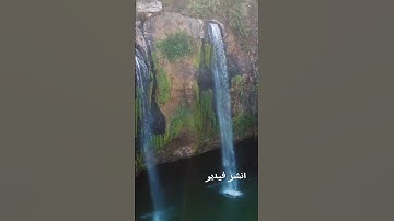 اكتب شي تؤجر عليه #القرآن_الكريم #تلاوة_خاشعة #الابذكرالله_تطمئن_القلوب #راحة_نفسية #فلسطين
