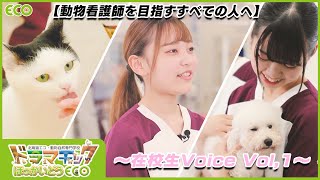 【愛玩動物看護師】動物看護師を目指すすべての人へ〜在校生Voice Vol,1〜