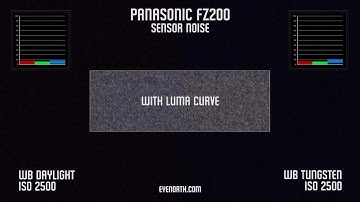 PANASONIC FZ200 Video Mode Sensor Noise Tungsten/Daylight WB