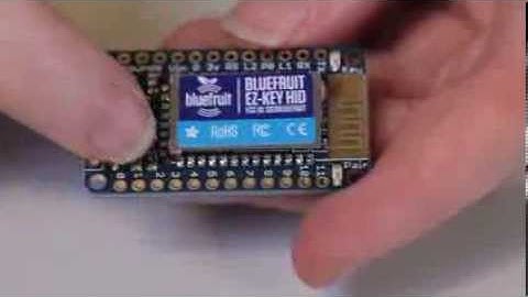 Adafruit