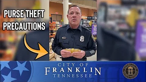 Purse Theft Precautions