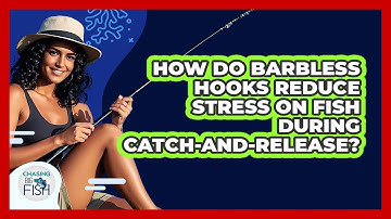 How Do Barbless Hooks Reduce Stress On Fish During Catch-and-release? - Chasing Big Fish