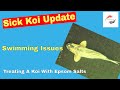 Sick Koi Update **Treating A Koi With Epsom Salts** **Swimming Issues** **Lethargic Koi**