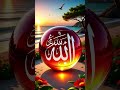 Masaallah | #shortvideo #islamic#nature