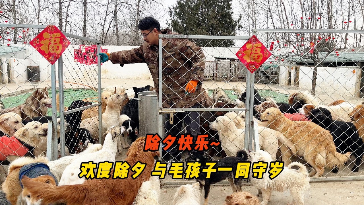 毛孩子喜迎除夕團圓飯！ 小院張燈結綵我們陪伴毛孩們喜慶團圓守歲